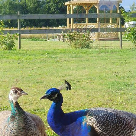 La Ferme De Lec'H Hameury Bed and Breakfast Plestin-les-Grèves Buitenkant foto