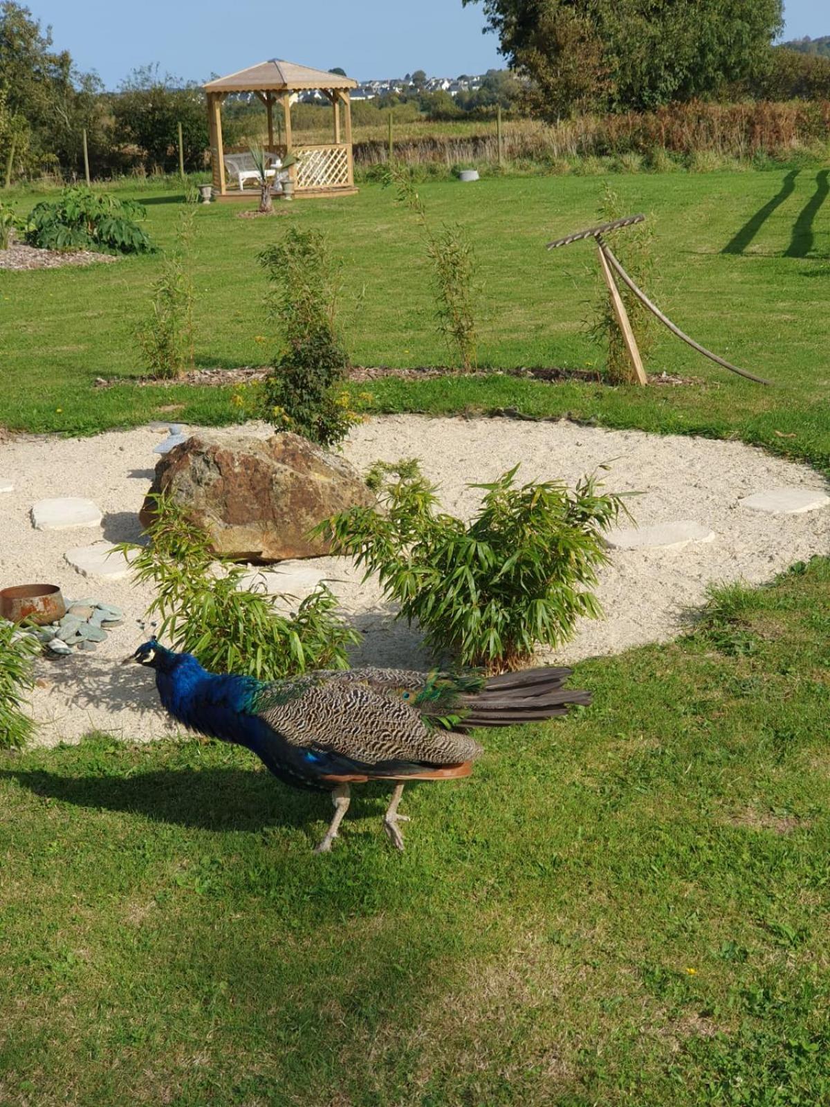 La Ferme De Lec'H Hameury Bed and Breakfast Plestin-les-Grèves Buitenkant foto